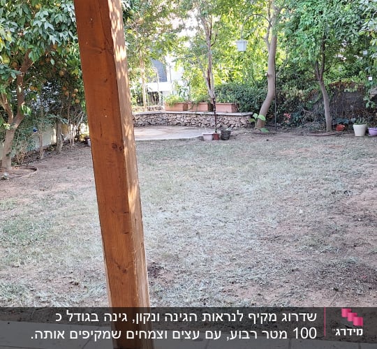 עצים, דשא יבש, עציצים, צינור השקיה בגינה